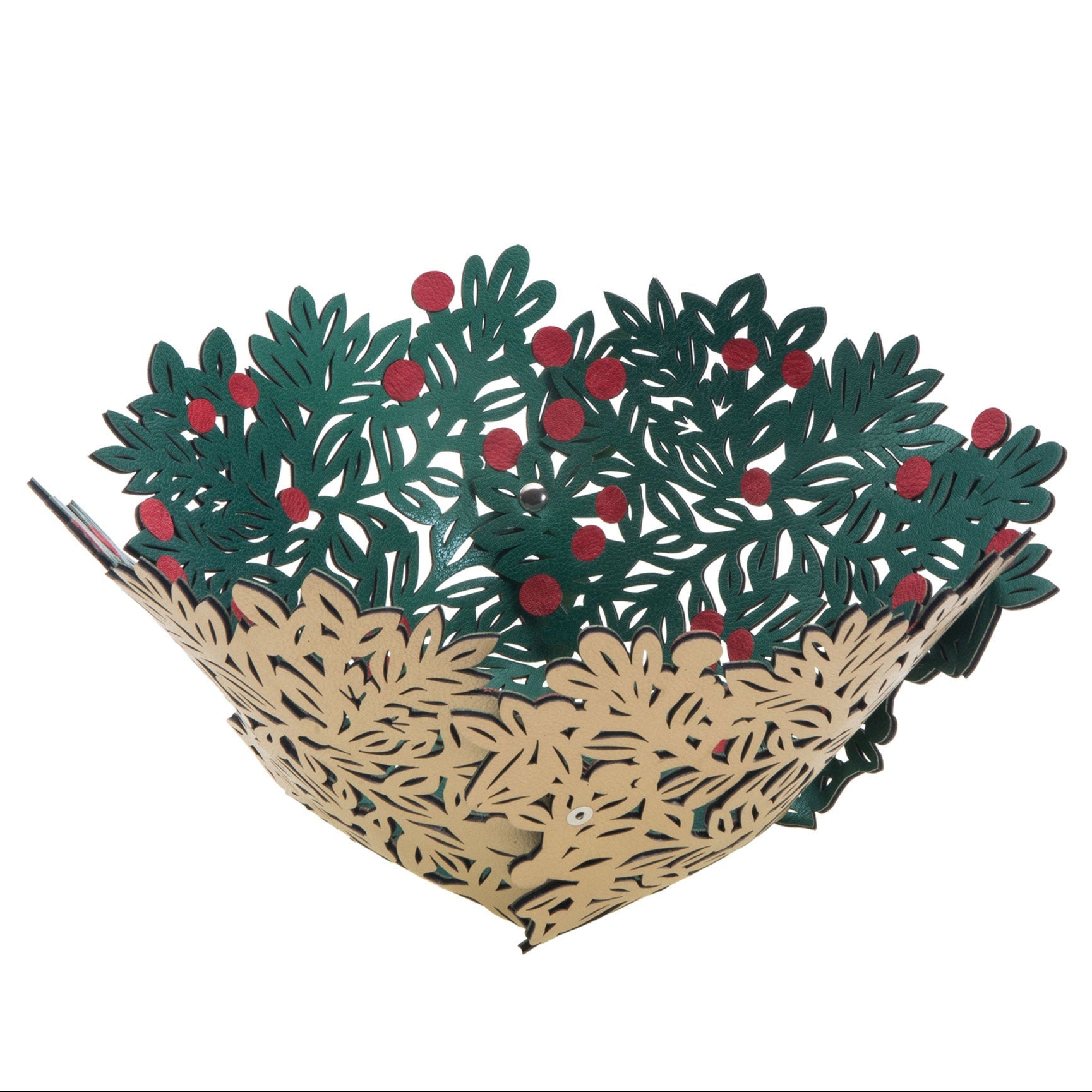 Christmas Bush  - Panera